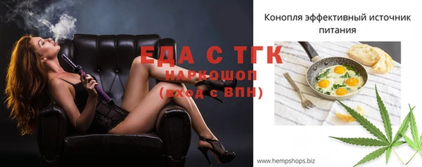 крисы Абаза