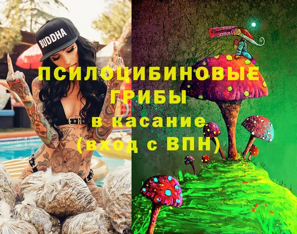 стафф Рославль