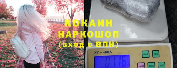 крисы Абаза