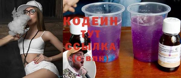 крисы Абаза