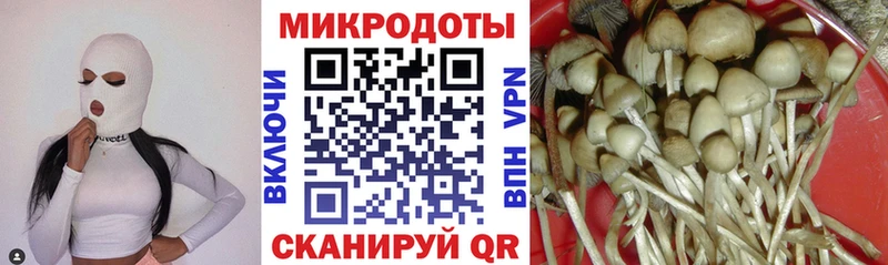 Галлюциногенные грибы MAGIC MUSHROOMS  где найти   kraken онион  Белоозёрский 